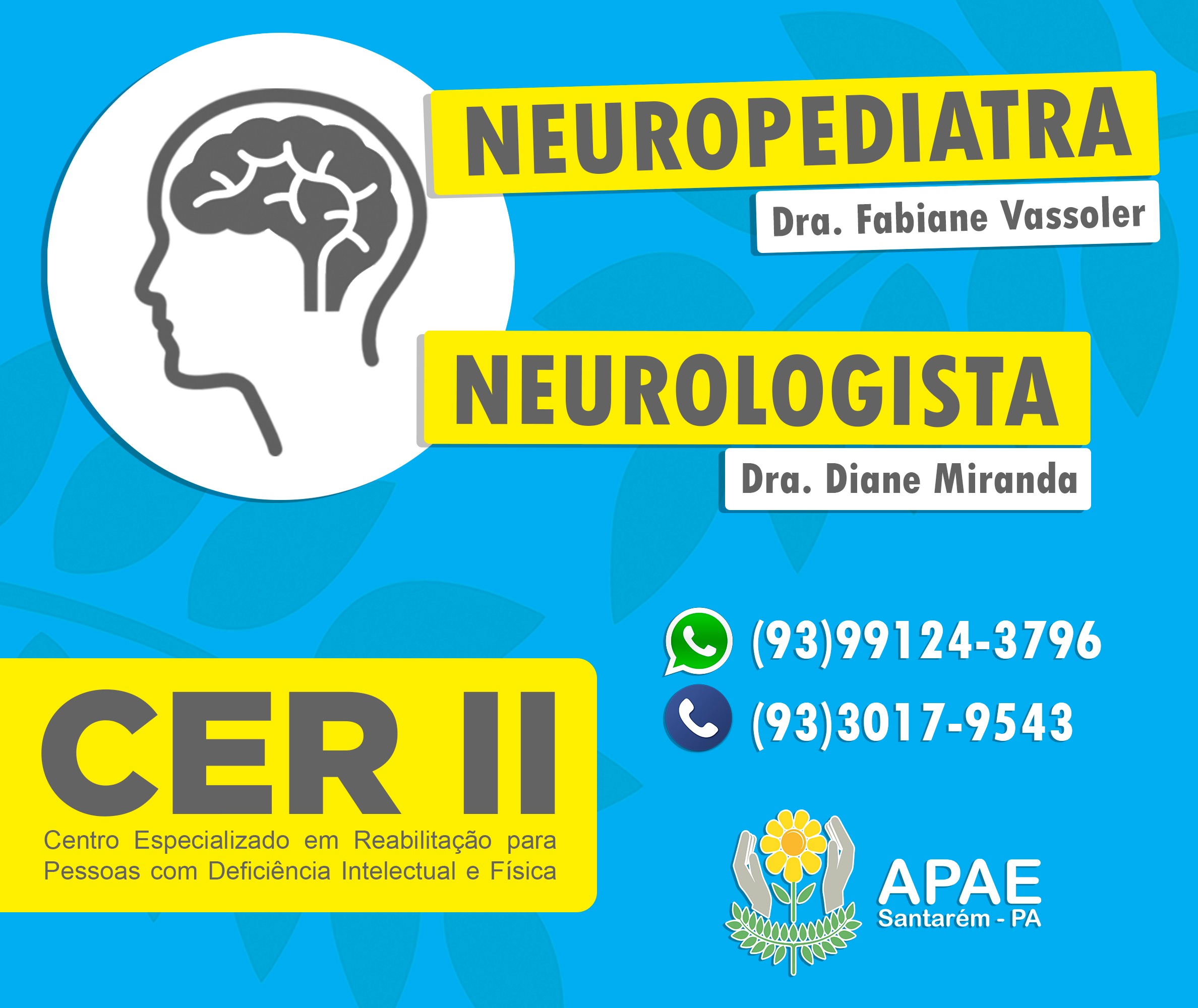 Novos atendimentos do CER II